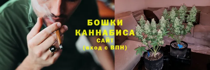 Канабис SATIVA & INDICA  как найти закладки  Лермонтов 